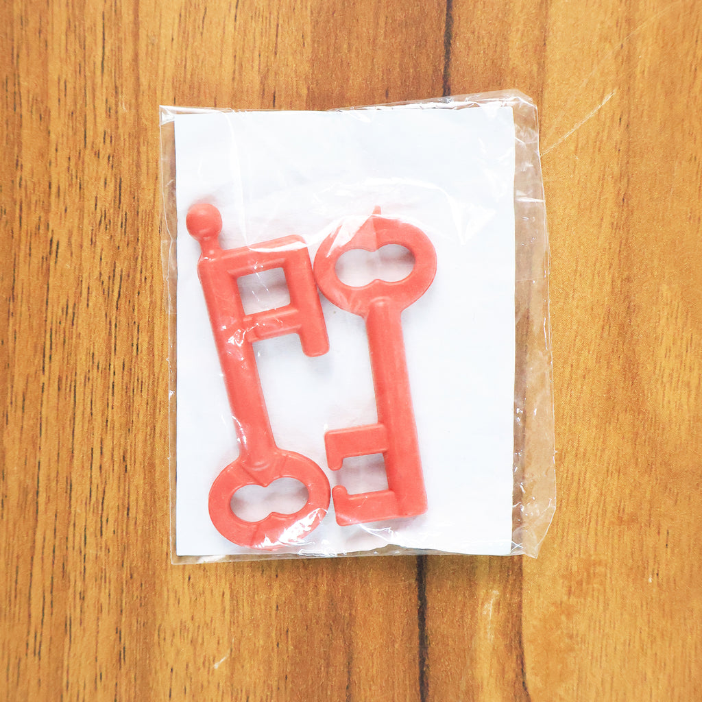 Magic Key Puzzle Set  Fun Brain Teaser Toy